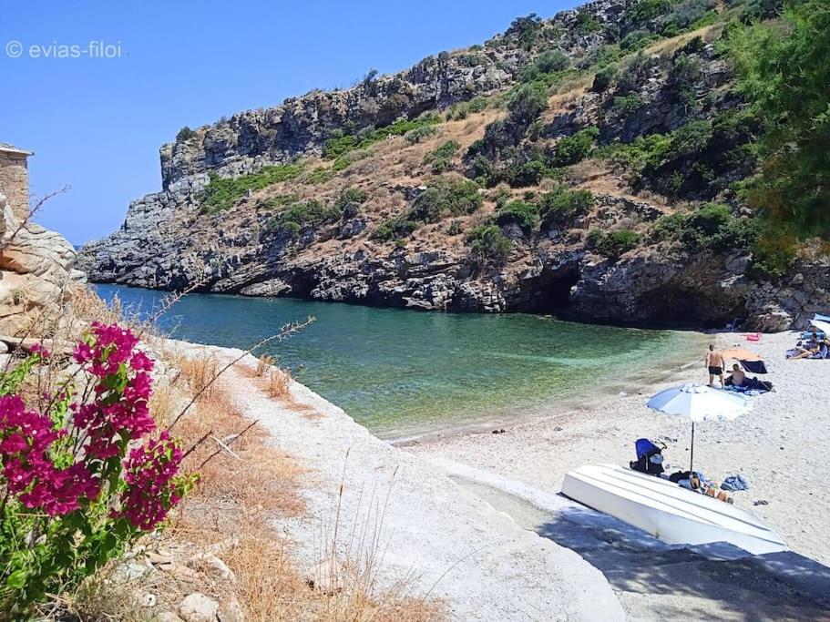 فيلا Παραθαλασσιο Σπιτι Στην Εξοχη Tsakei المظهر الخارجي الصورة