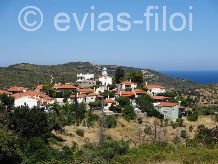 فيلا Παραθαλασσιο Σπιτι Στην Εξοχη Tsakei المظهر الخارجي الصورة