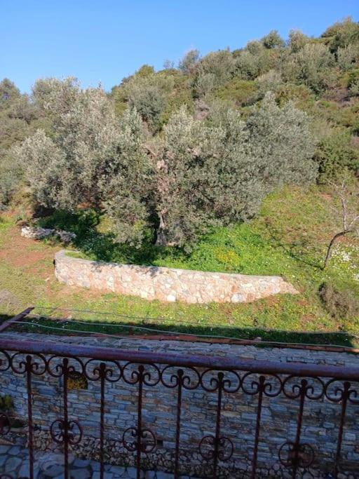فيلا Παραθαλασσιο Σπιτι Στην Εξοχη Tsakei المظهر الخارجي الصورة