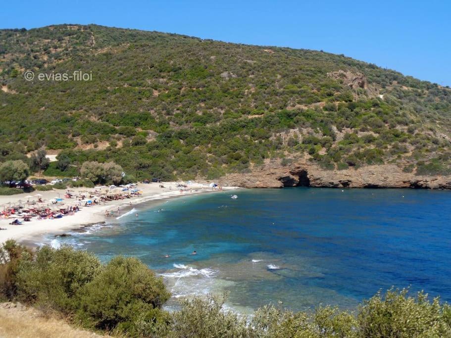فيلا Παραθαλασσιο Σπιτι Στην Εξοχη Tsakei المظهر الخارجي الصورة